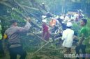 Caption: tampak polisi bersama warga Palengaan Laok, mengevakuasi pohon tumbang akibat diterjang angin puting beliung, (dok. regamedianews). 
