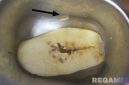 Caption: tanda panah, seekor belatung yang masih hidup berkeliaran di ompreng MBG, (dok. regamedianews). 