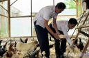 Caption: panen perdana puluhan telur hasil budidaya ayam petelur, dongkrak ketahanan pangan nasional, (dok. foto istimewa). 