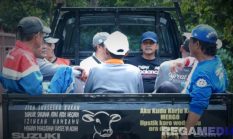 Bupati Bangkalan Kerja Bakti Ke Kamal Naik Pickup