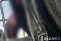 Caption: mengenaskan, kepala korban terjepit drum mixer truk molen dan berlumuran darah, (dok. Yusrianto, Rega Media). 