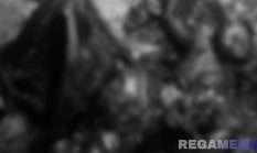 Seorang Pria Ditemukan Tewas Terbakar di Pamekasan