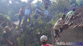 Caption: warga gotong royong membersihkan dan mengevakuasi pohon tumbang yang menimpa dapur rumah Hadirah, (dok. Kurdi, Rega Media). 