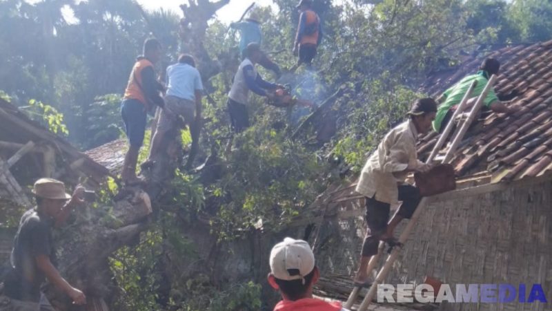 Caption: warga gotong royong membersihkan dan mengevakuasi pohon tumbang yang menimpa dapur rumah Hadirah, (dok. Kurdi, Rega Media). 
