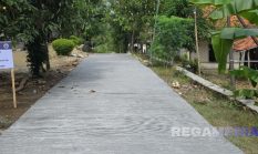 Pemdes Gunung Rancak Bangun Program Ketahanan Pangan dan Jalan Beton Capai 1.037 Meter Gunakan Dana Desa 2025