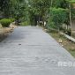 Caption: Salah satu jalan cor didusun Ombaran (dok.regamedianews)