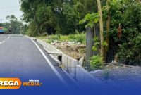 Caption: tampak pemasangan box culvert di ruas jalan Tanah Merah-Jenteh Bangkalan yang dikeluhkan warga sekitar, (dok. Syafin, Rega Media). 