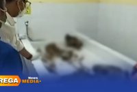 Caption: potongan video amatir, tulang tengkorak manusia dilakukan pemeriksaan awal di ruang mayat RSUD dr.Mohammad Zyn Sampang, (dok. Harry Rega Media). 