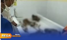 Geger! Penemuan Tengkorak Manusia di Sampang