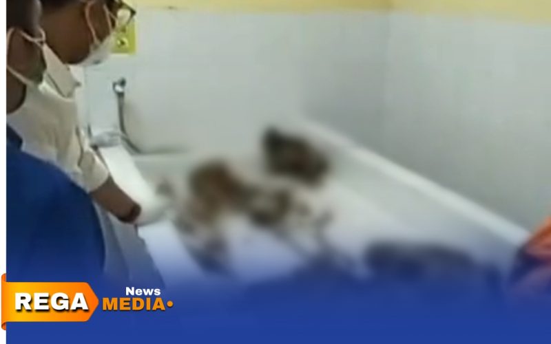 Caption: potongan video amatir, tulang tengkorak manusia dilakukan pemeriksaan awal di ruang mayat RSUD dr.Mohammad Zyn Sampang, (dok. Harry Rega Media). 